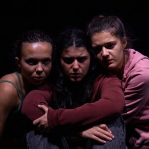 LA PEAU DES AUTRES (de Lauriane Goyet)